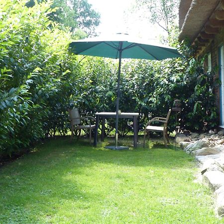 Ferienwohnung Sonnenschein Walsrode Exterior foto